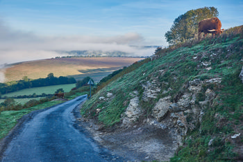 North Yorkshire Autumn morning This landscape photograph taken in the North Yorkshire Moors in the United Kingdom shows a rural autumn morning in 2018. The image features a winding country road bordered by rocky slopes and green grassy areas, with several cows grazing, highlighting the presence of animals in this natural setting. Mist and a cloud-inversion cover parts of the distant fields and hills, creating a soft backdrop under a blue sky. Nature is prominently displayed, with trees and undisturbed vegetation surrounding the area, capturing the essence of an early morning in the North Yorkshire countryside.